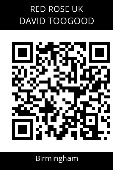 QR code for david-toogood-szh3y7