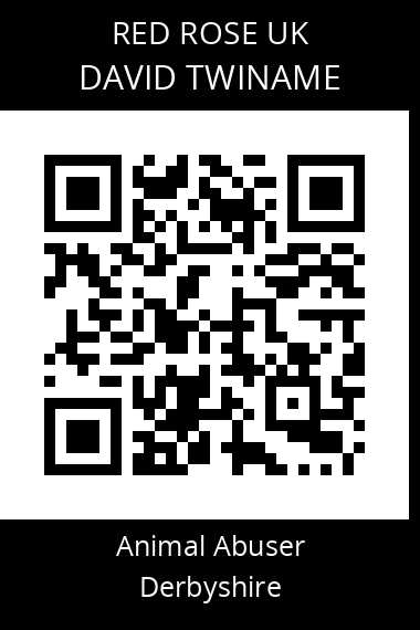 QR code for david-twiname
