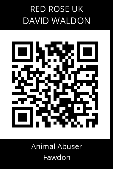 QR code for david-waldon
