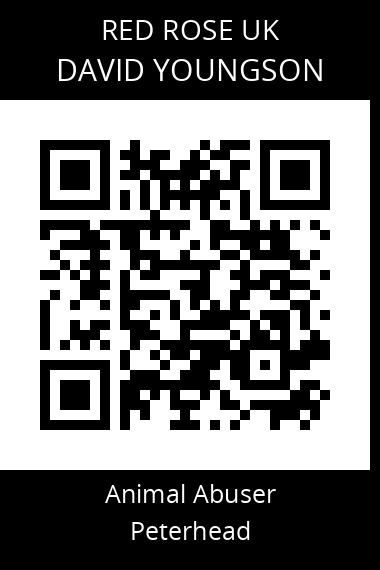 QR code for david-youngson