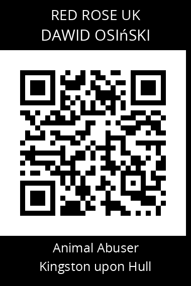 QR code for dawid-osinski