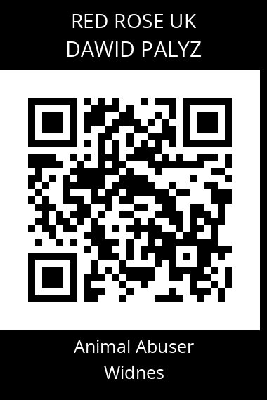 QR code for dawid-palyz