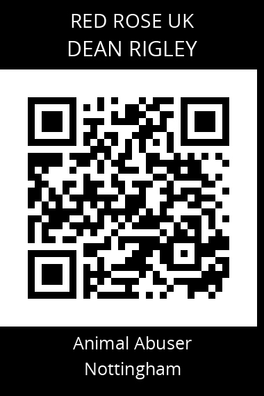 QR code for dean-rigley