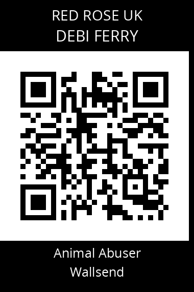QR code for debi-ferry