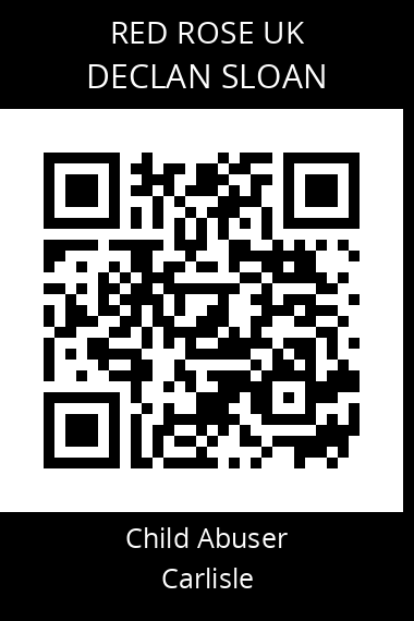 QR code for declan-sloan
