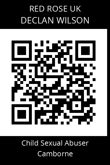 QR code for declan-wilson