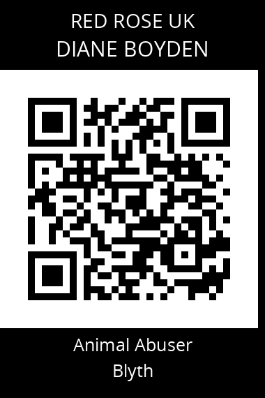 QR code for diane-boyden