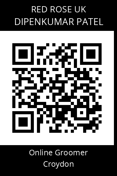 QR code for dipenkumar-patel