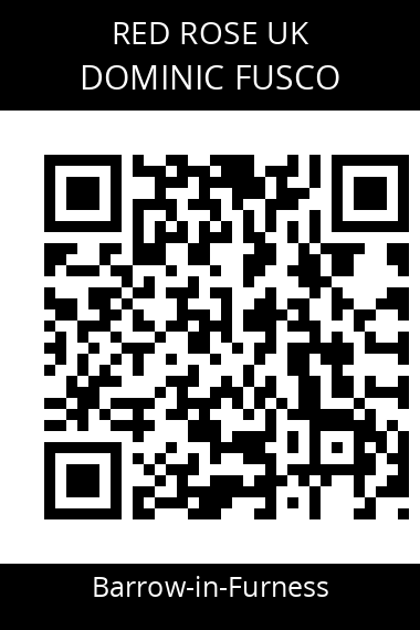 QR code for dominic-fusco-yhvz1i