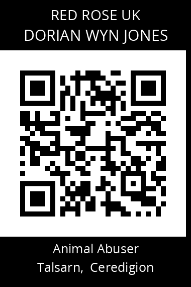 QR code for dorian-wyn-jones