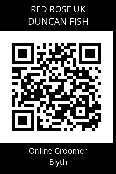 QR code for duncan-fish