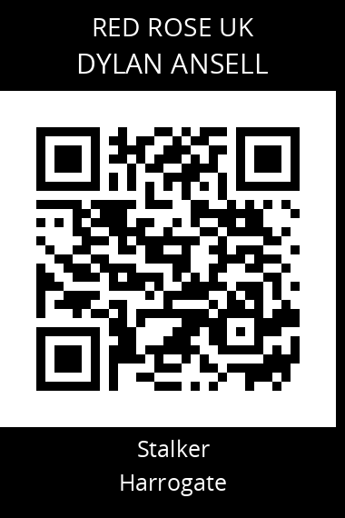QR code for dylan-ansell