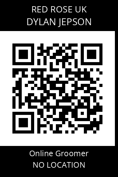 QR code for dylan-jepson