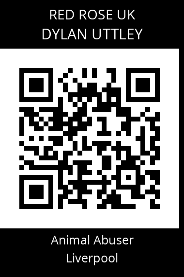 QR code for dylan-uttley