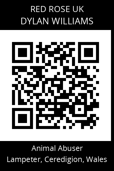 QR code for dylan-williams
