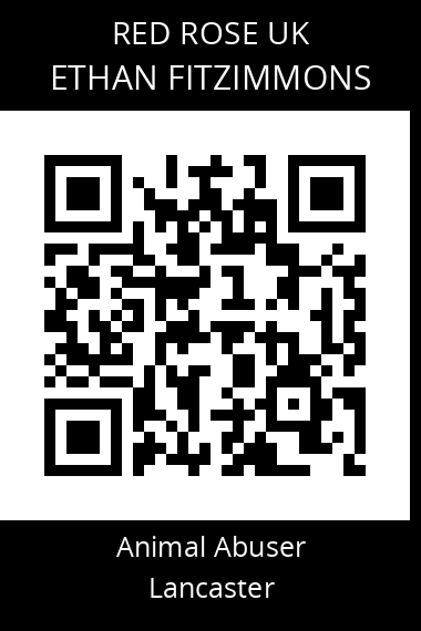QR code for ethan-fitzimmons