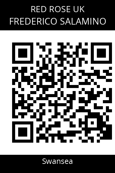 QR code for frederico-salamino