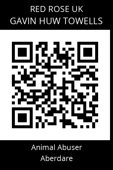 QR code for gavin-huw-towells