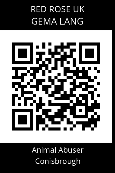 QR code for gema-lang