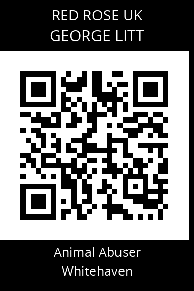 QR code for george-litt