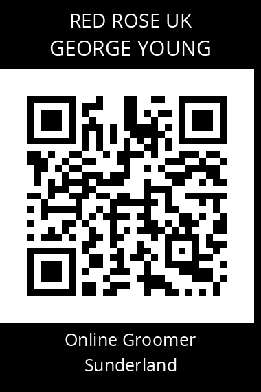 QR code for george-young-3