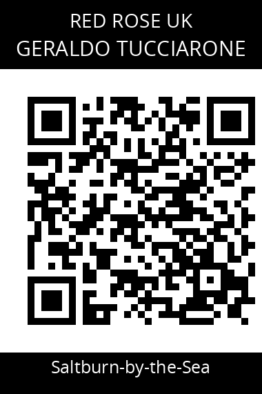QR code for geraldo-tucciarone