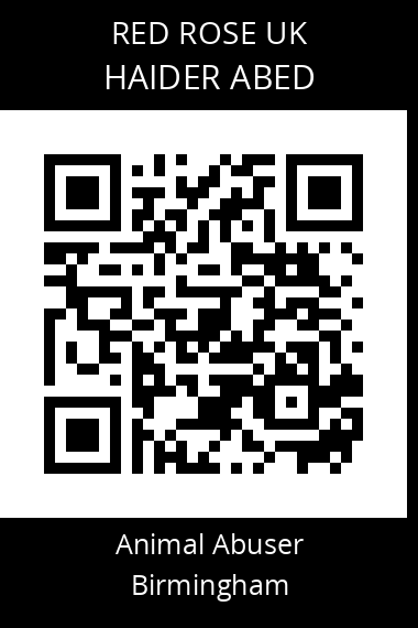 QR code for haider-abed