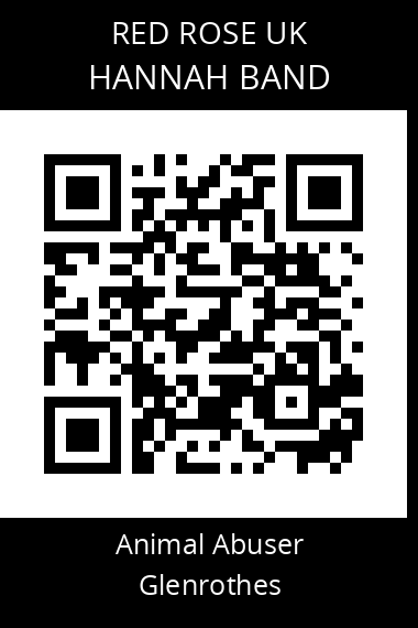 QR code for hannah-band