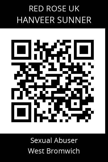 QR code for hanveer-sunner