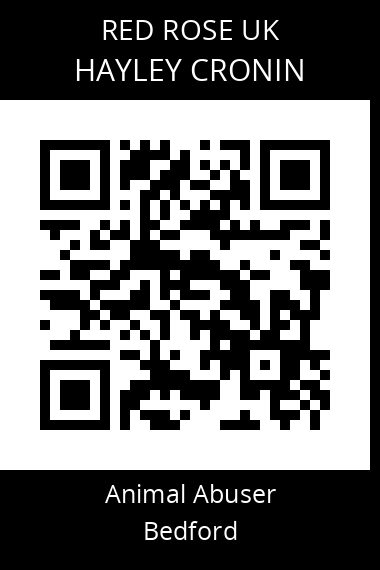 QR code for hayley-cronin
