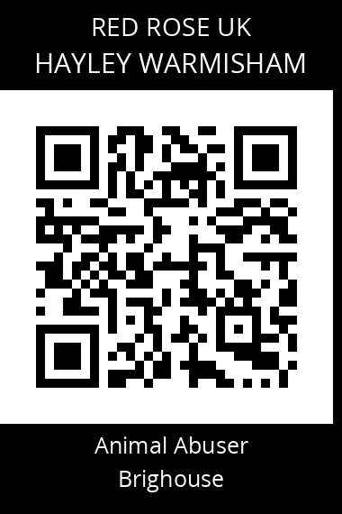 QR code for hayley-warmisham