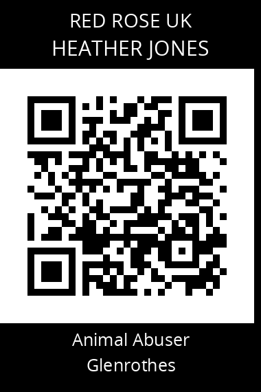 QR code for heather-jones