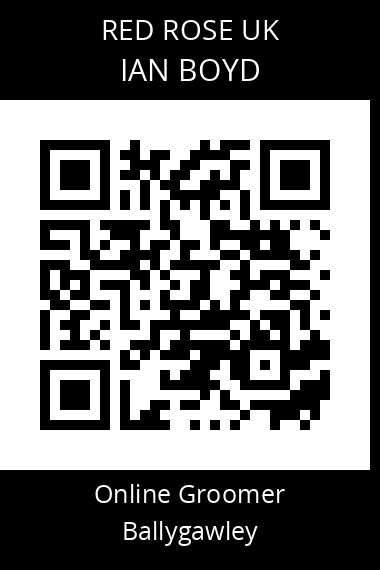 QR code for ian-boyd