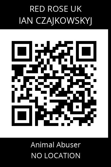 QR code for ian-czajkowskyj