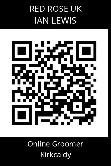 QR code for ian-lewis-2