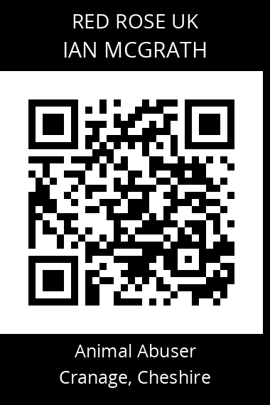 QR code for ian-mcgrath