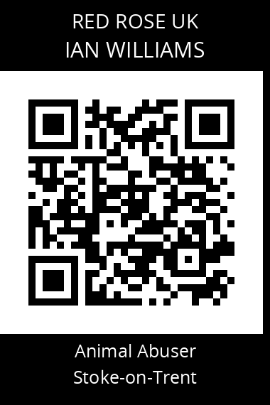 QR code for ian-williams-3
