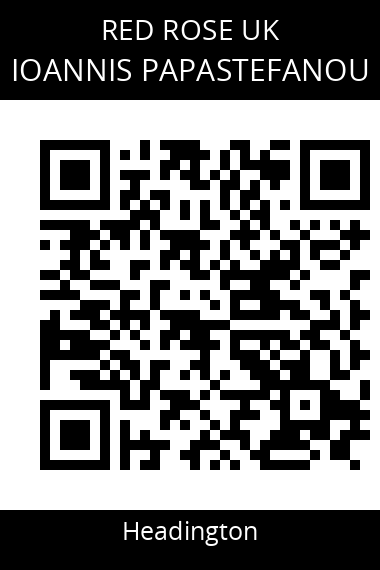 QR code for ioannis-papastefanou