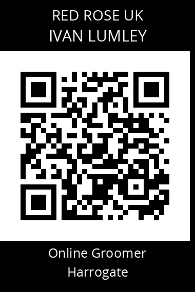 QR code for ivan-lumley
