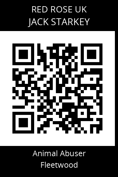 QR code for jack-starkey