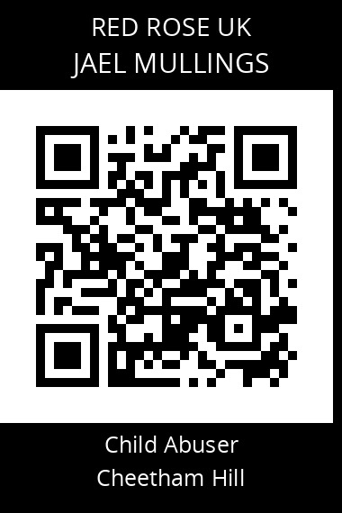 QR code for jael-mullings