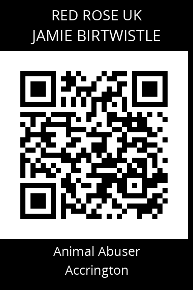 QR code for jamie-birtwistle