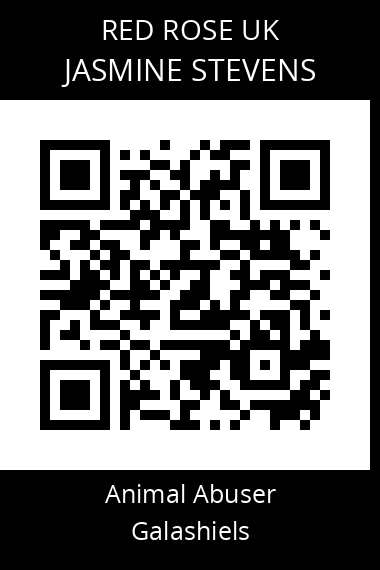 QR code for jasmine-stevens
