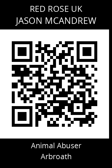 QR code for jason-mcandrew