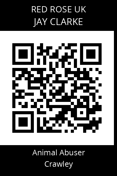 QR code for jay-clarke