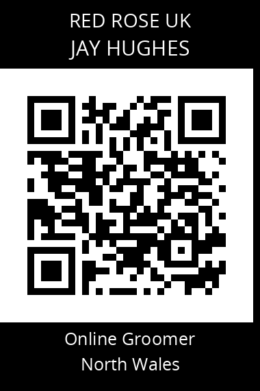 QR code for jay-hughes