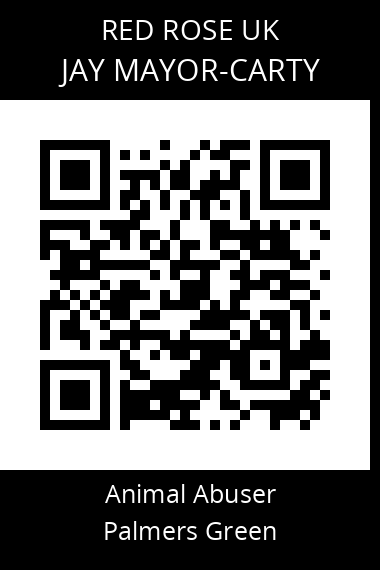 QR code for jay-mayor-carty