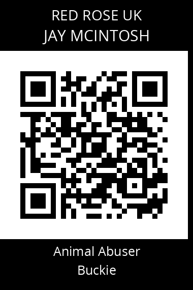 QR code for jay-mcintosh