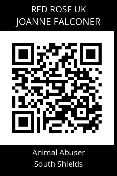 QR code for joanne-falconer