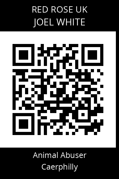 QR code for joel-white